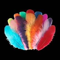 Feathers