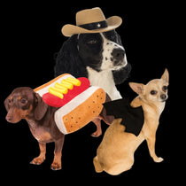 Pet Costumes