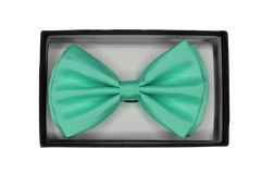 Pastel Bow Tie