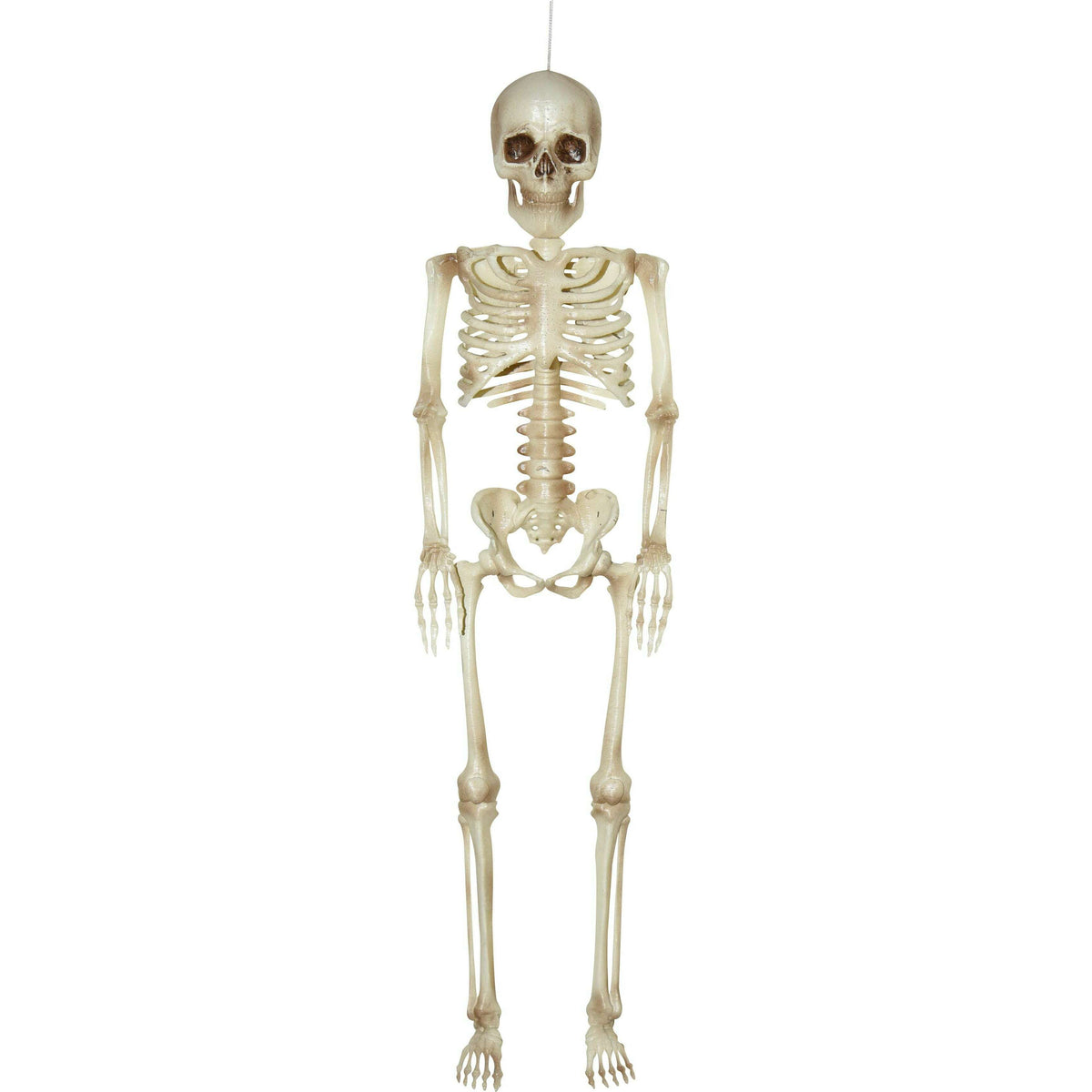 16" Hanging Skeleton