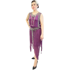 1920's Fuchsia Chiffon Flapper Dress Deluxe Women's Costume