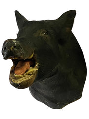 Mounted Taxidermy Boar Head Prop