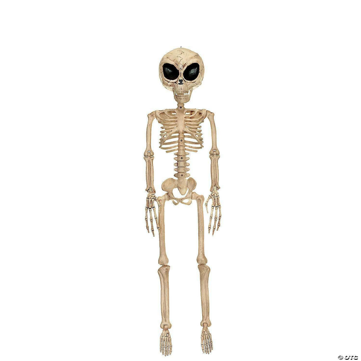 37" Poseable Alien Skeleton Decoration