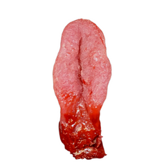 Severed Human Tongue Prop