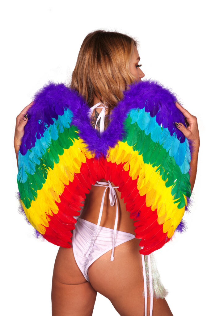 Rainbow Feathered Wings