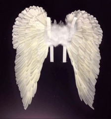 Professional Turkey Feather Angel Wings