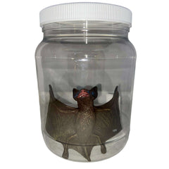 Bat Specimen Jar