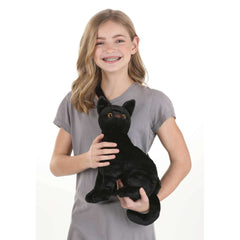 Black Cat Costume Companion