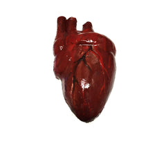 Bloody Hand-Painted Heart Flexible Foam Rubber Special Effects Life-Sized Prop