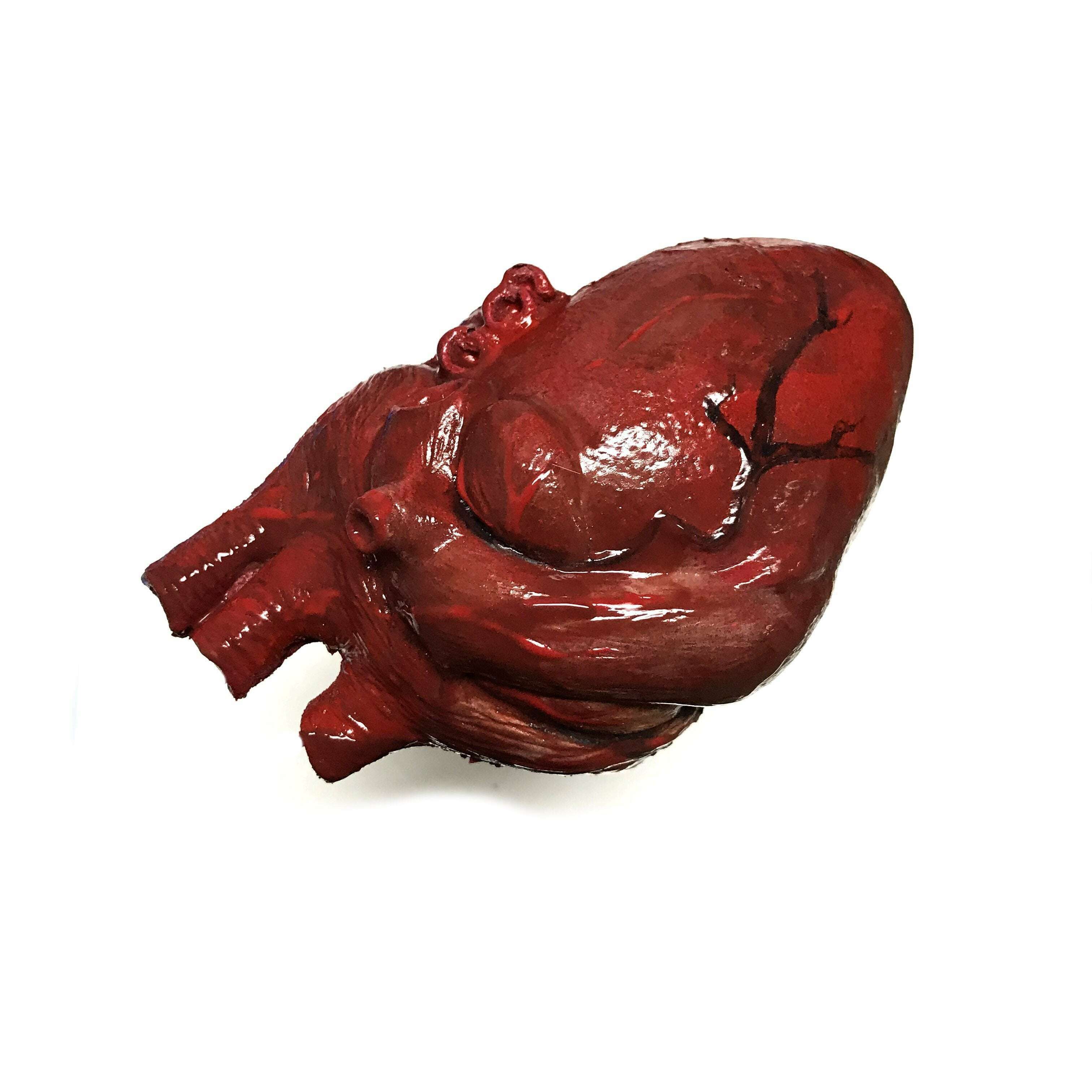 Bloody Hand-Painted Heart Flexible Foam Rubber Special Effects Life-Sized Prop