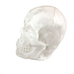 Breakaway Small Skull