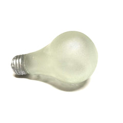 Breakaway Standard Light Bulb