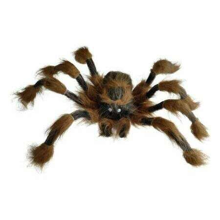 Brown Furry Spider