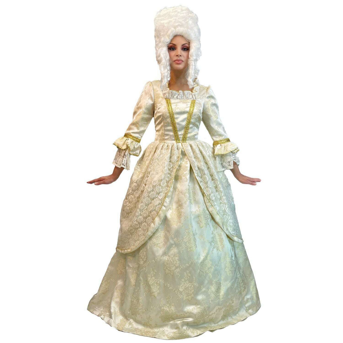 Colonial Lady Marie Antoinette Rump Dress Women's Costume