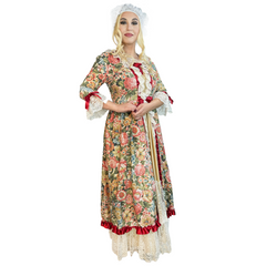 Deluxe Colonial Middle Class Women's Costume