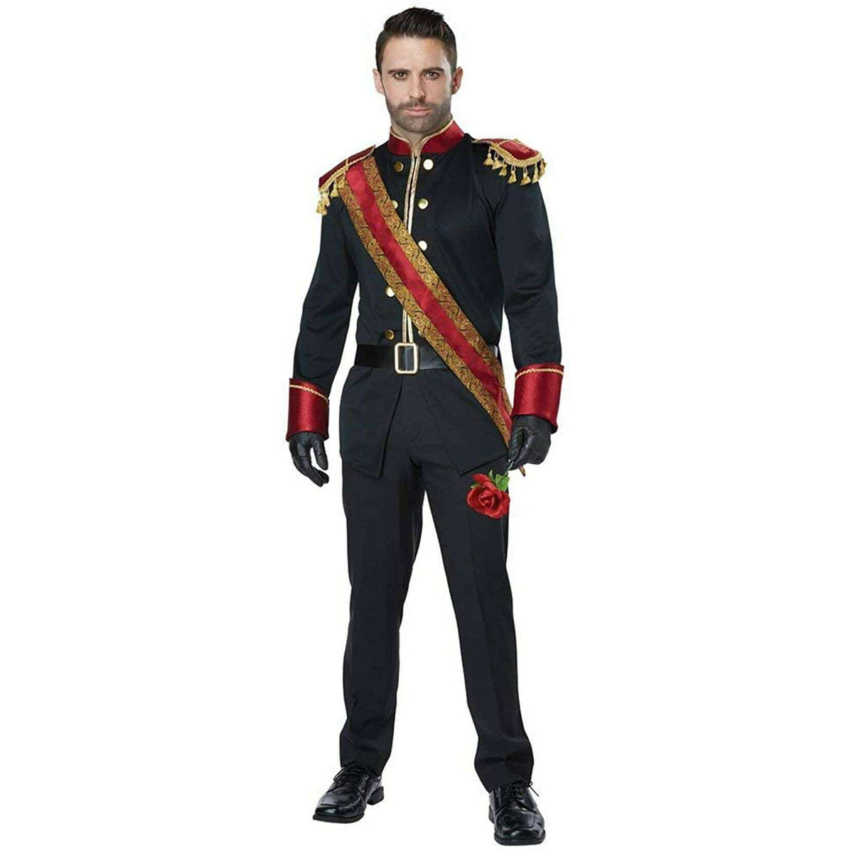 Deluxe Dashing Dark Prince Adult Costume