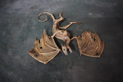 Mummified Baby Dragon Prop