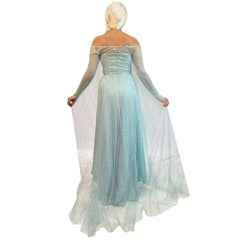 Fairytale Frozen Queen Elsa Adult Costume