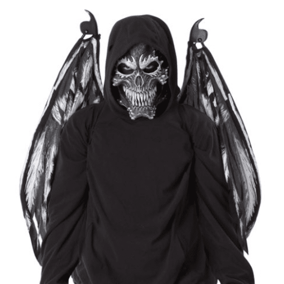 Fallen Angel Mask and Wings