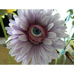 Freaky Flowers "Lazy Daisies" Prop Daisy