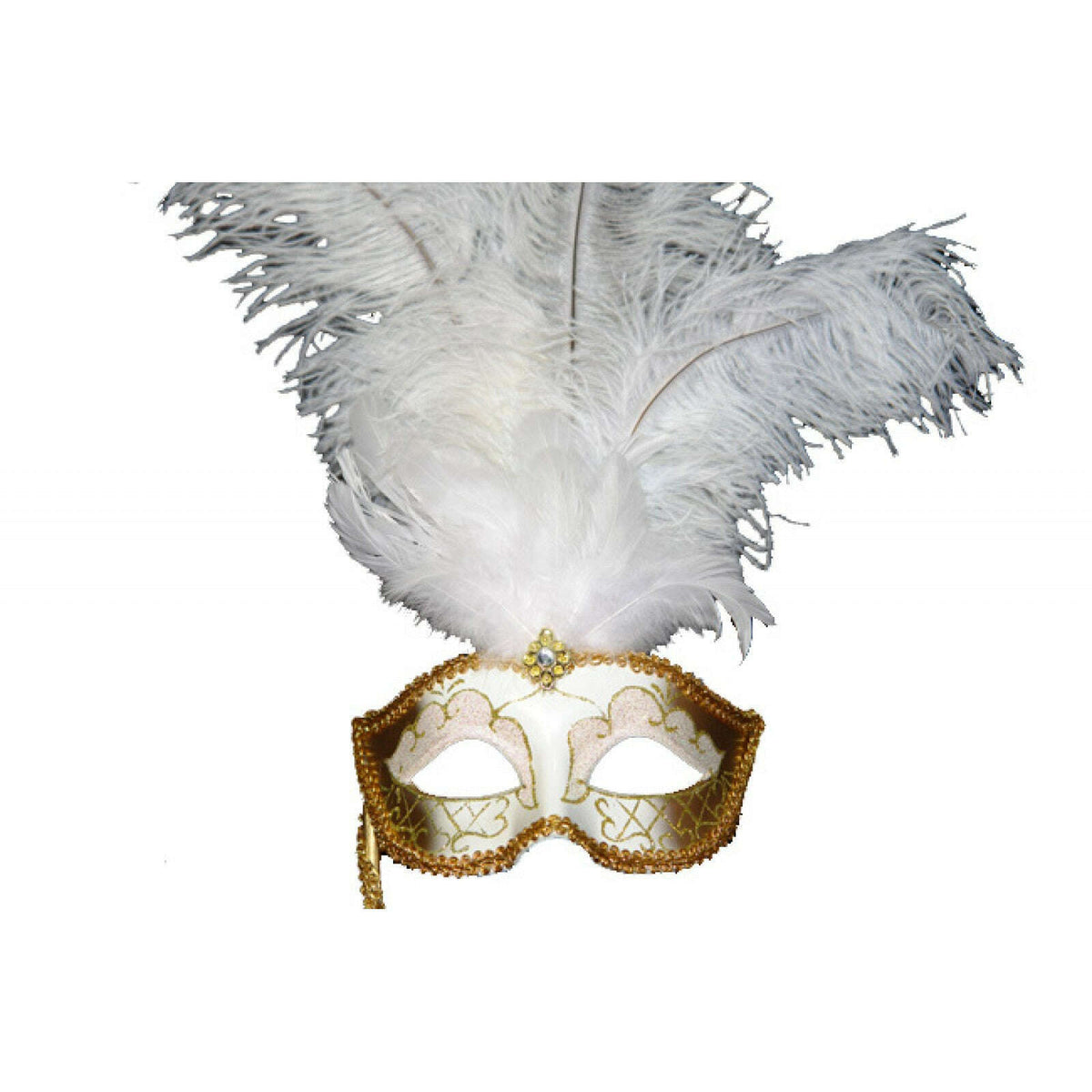 Holding Stick Feathered Venetian Mask