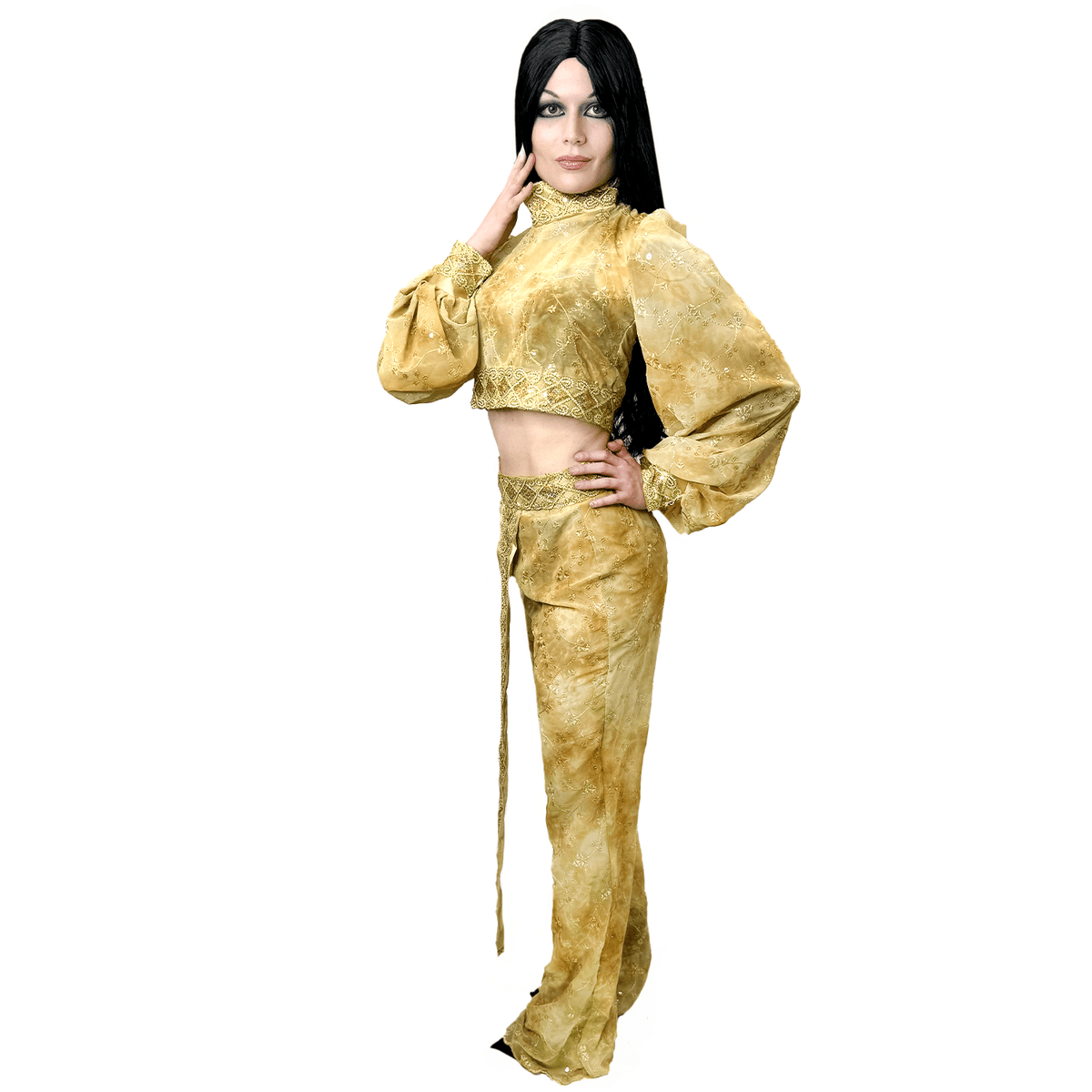 Iconic Cher Inspired Red Carpet Adult Costume