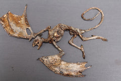 Mummified Baby Dragon Prop