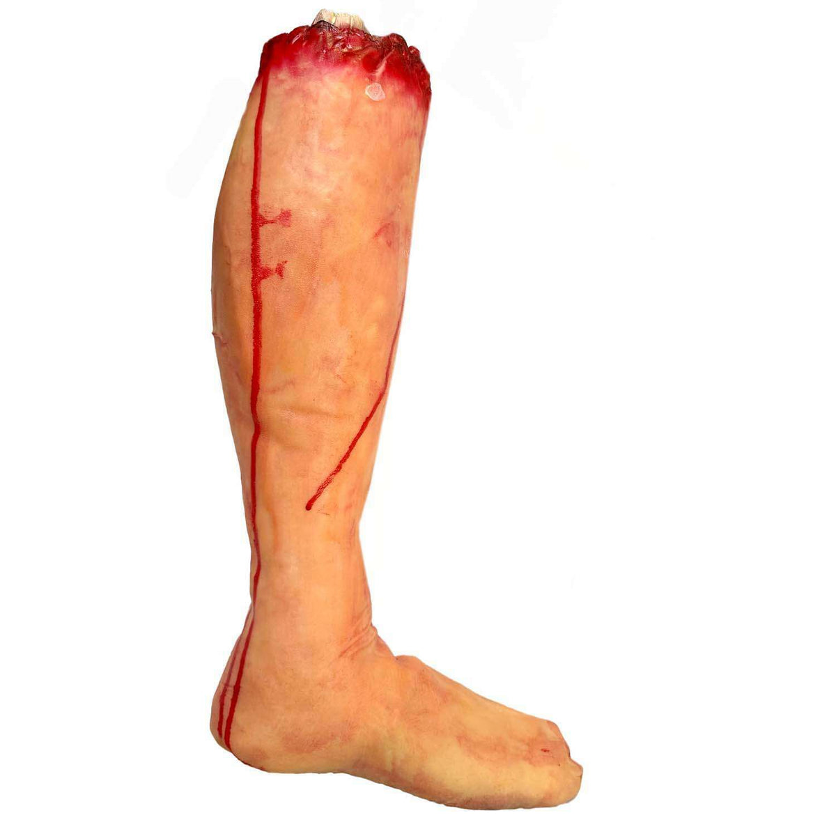 Knee High Severed Leg