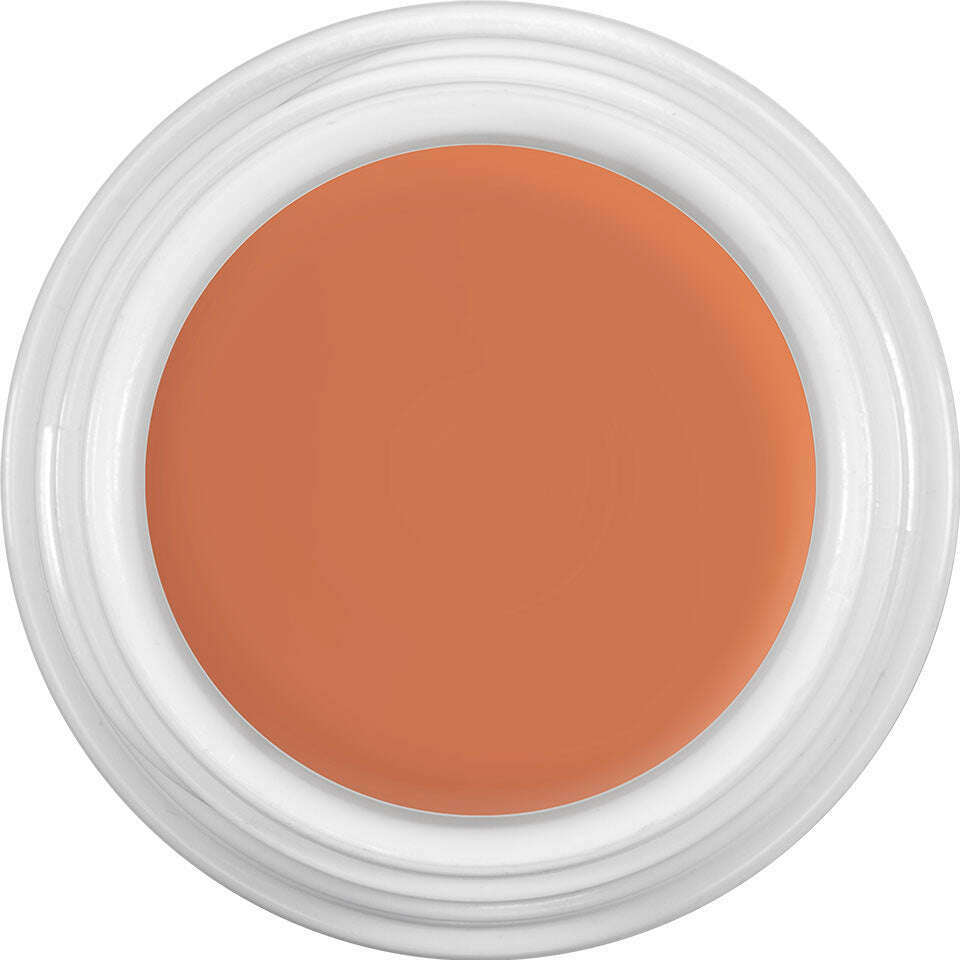 Kryolan Dermacolor Camoflauge Creme Concealer