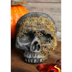 Mossy Skull