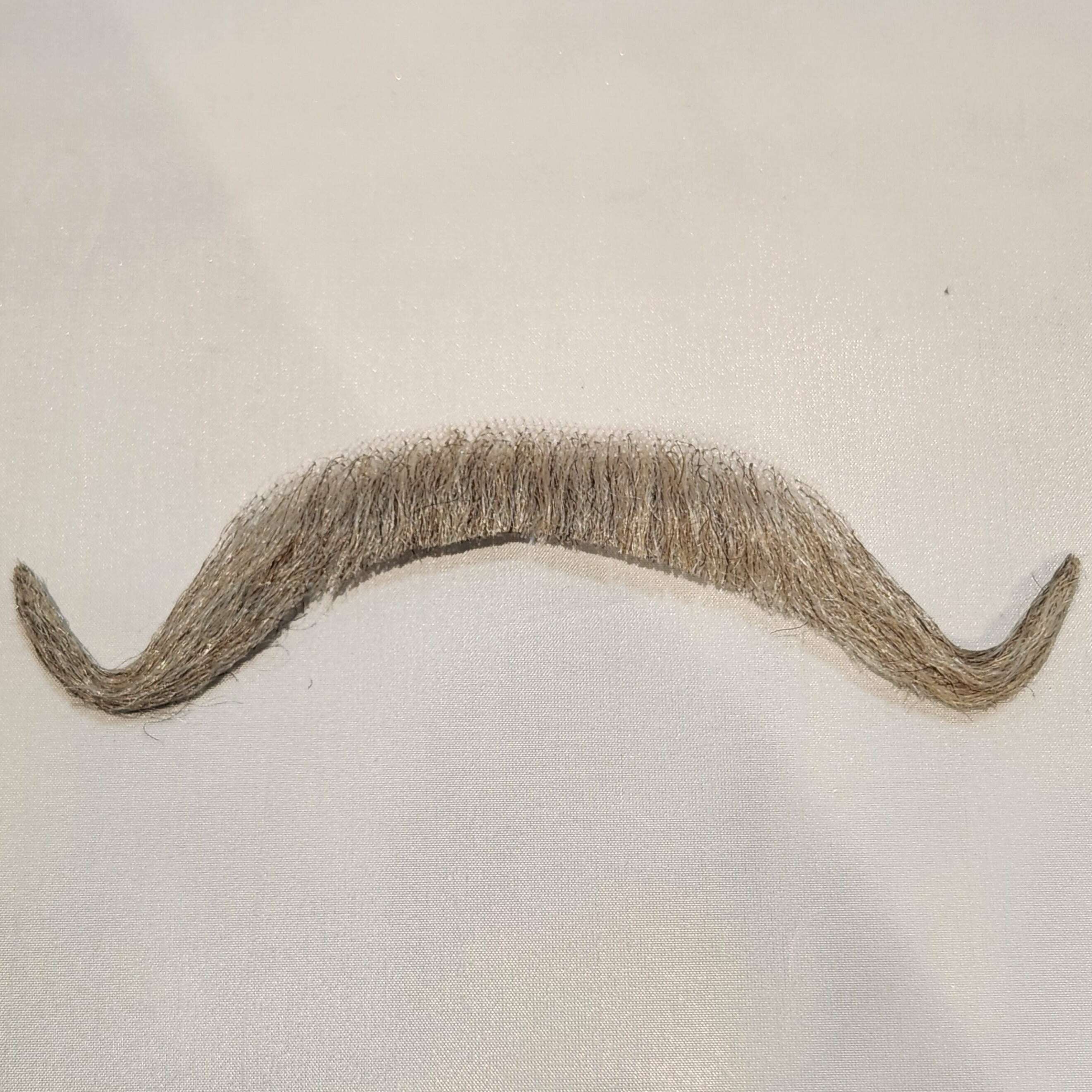 Muskateer Moustache