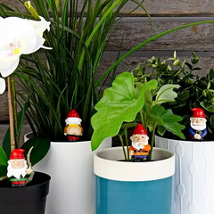 Naughty Gnomes Planters