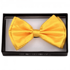 Neon Bow Tie