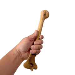 Realistic Lightweight Rigid Foam Humerus Prop