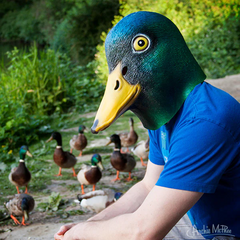 Realistic Mallard Duck Latex Mask