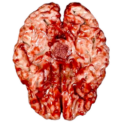 Realistic Urethane Bloody Brain Prop