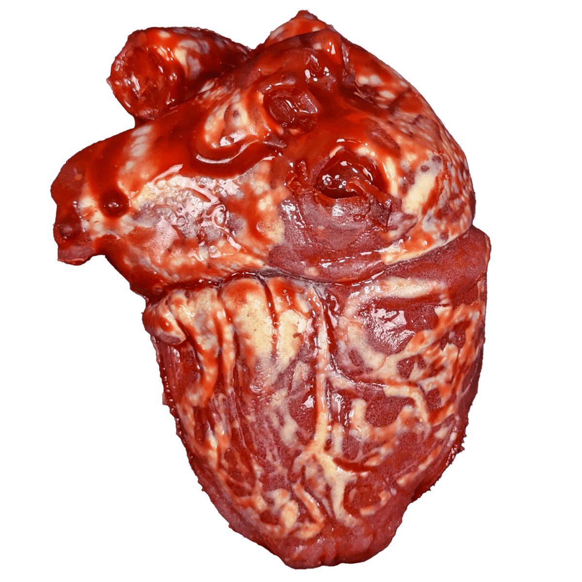 Realistic Urethane Bloody Heart Prop