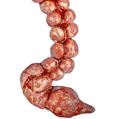 Realistic Urethane Bloody Intestines Prop