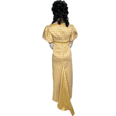 Regency Gold Circle Pattern Empire Dress Adult Costume