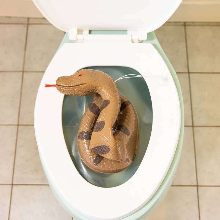 Rising Toilet Snake Prank