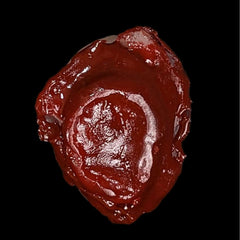 Severed Ear Prop