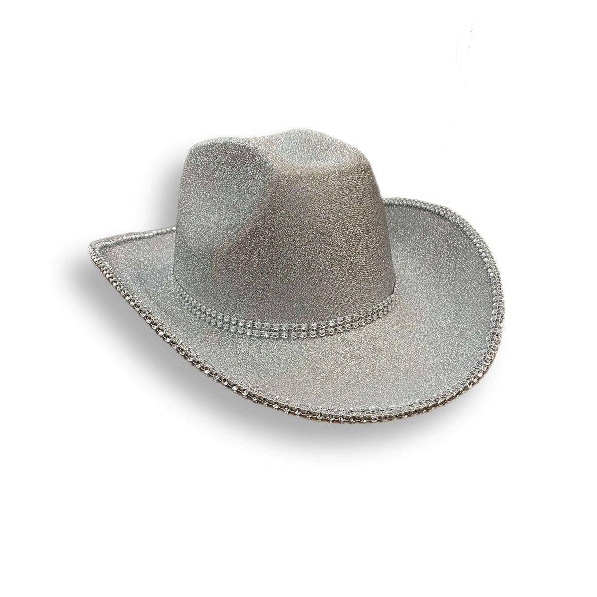 Shimmery Swift Cowboy Hat