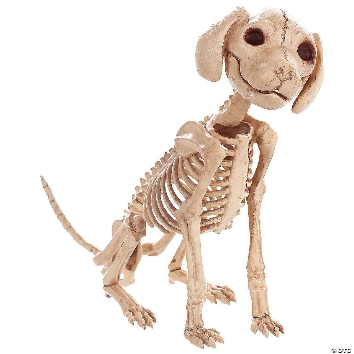 Sitting Puppy Skeleton Decoration