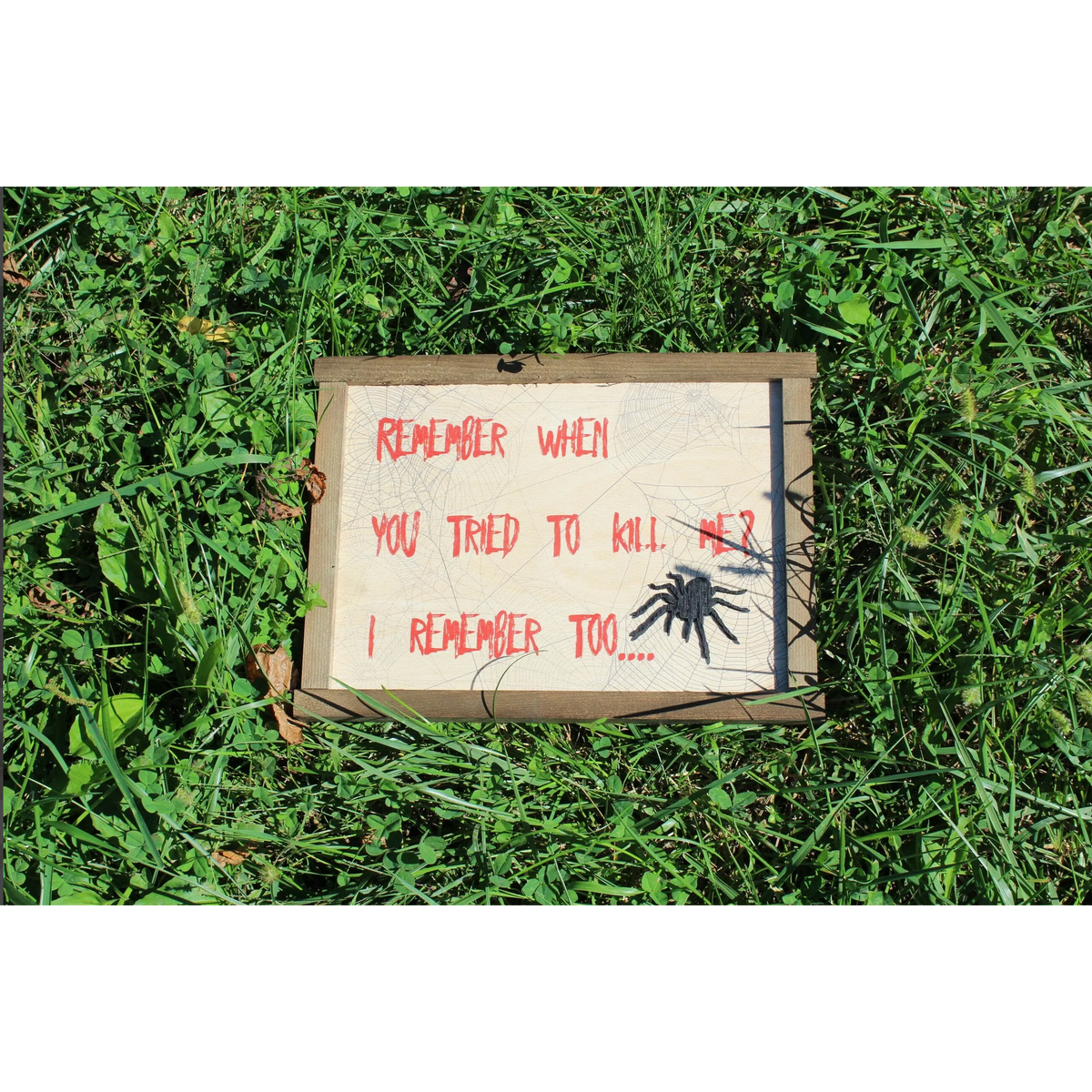 Spider Scary Joke Wall Decor