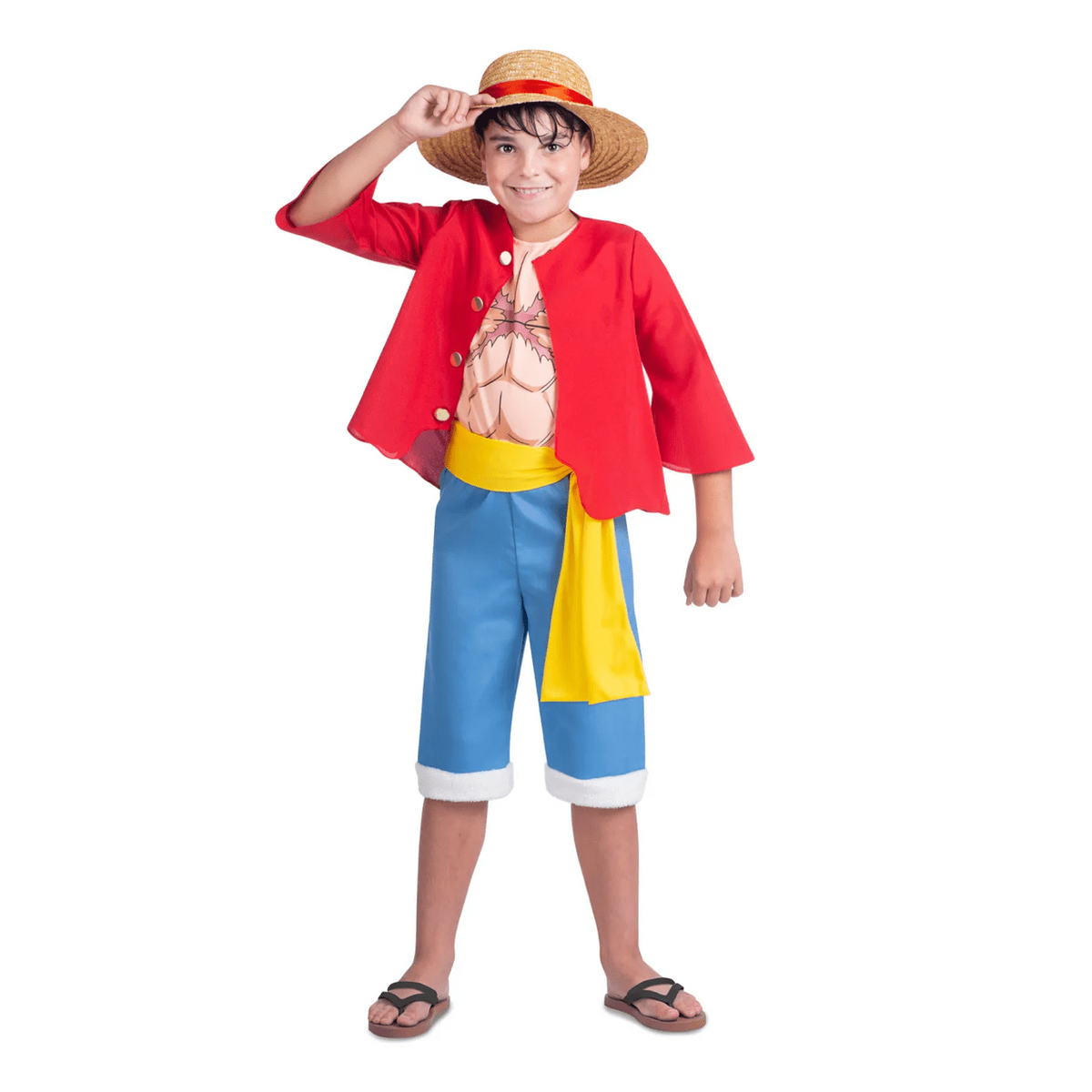 Tiny Captain: One Piece Kids Luffy Costume