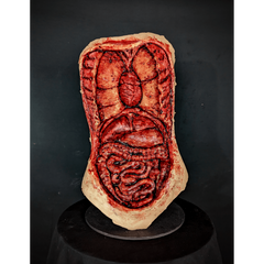 Torso Autopsy Realistic Prop