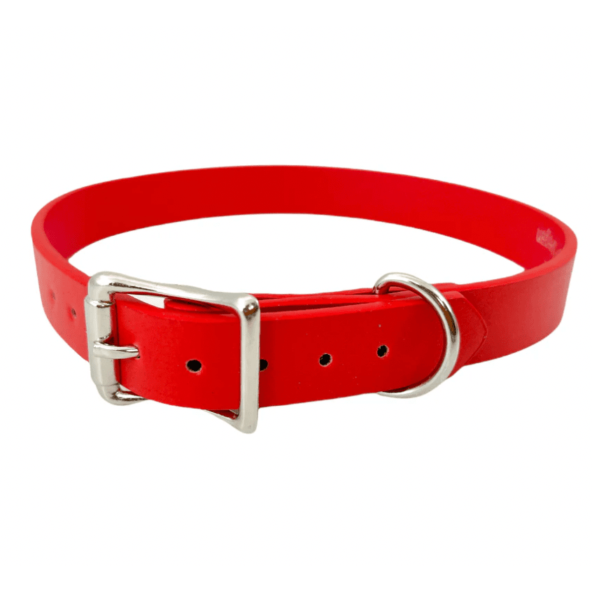 Vegan Matte Plain Buckle Choker