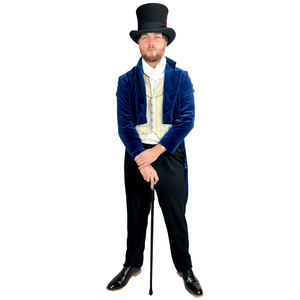 Victorian Elegant Velvet Blue and Black Adult Costume