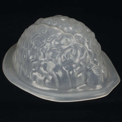 Brain Gel Mold