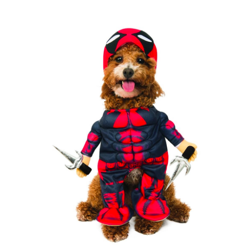 Deadpool Pet Costume